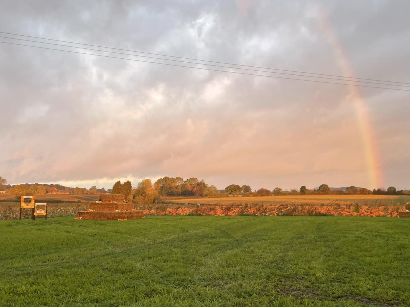Best Places To Go Pumpkin Picking Birmingham in 2025