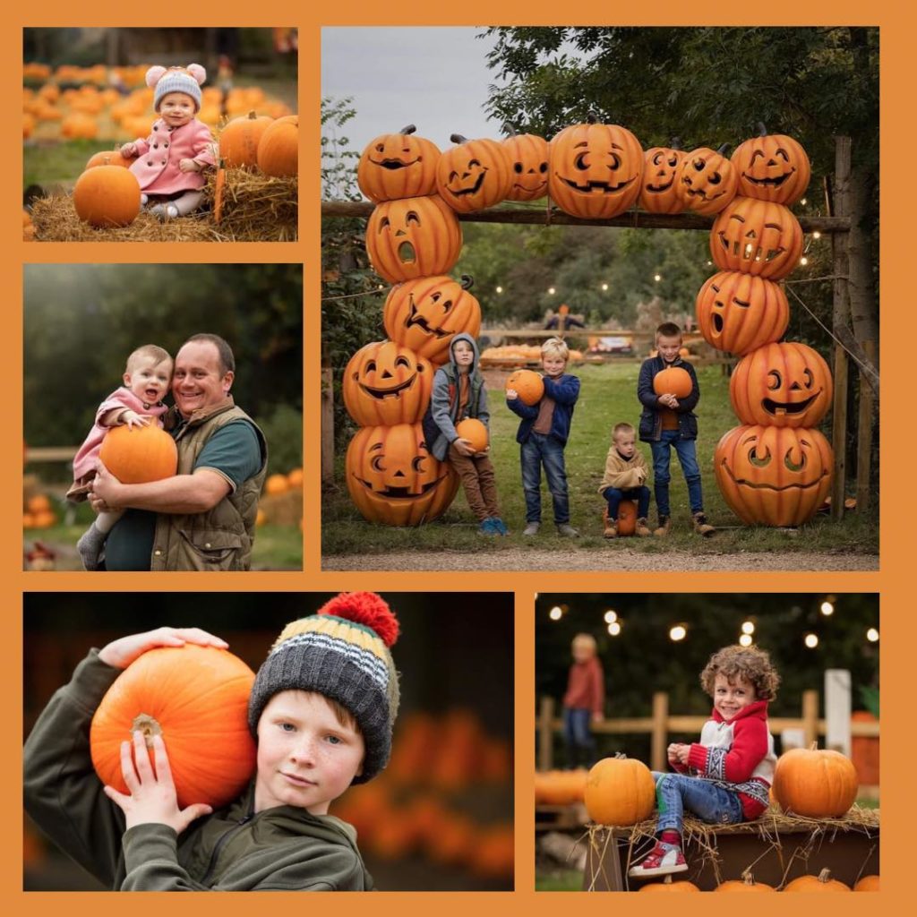 pumpkin picking Northamptonshire
