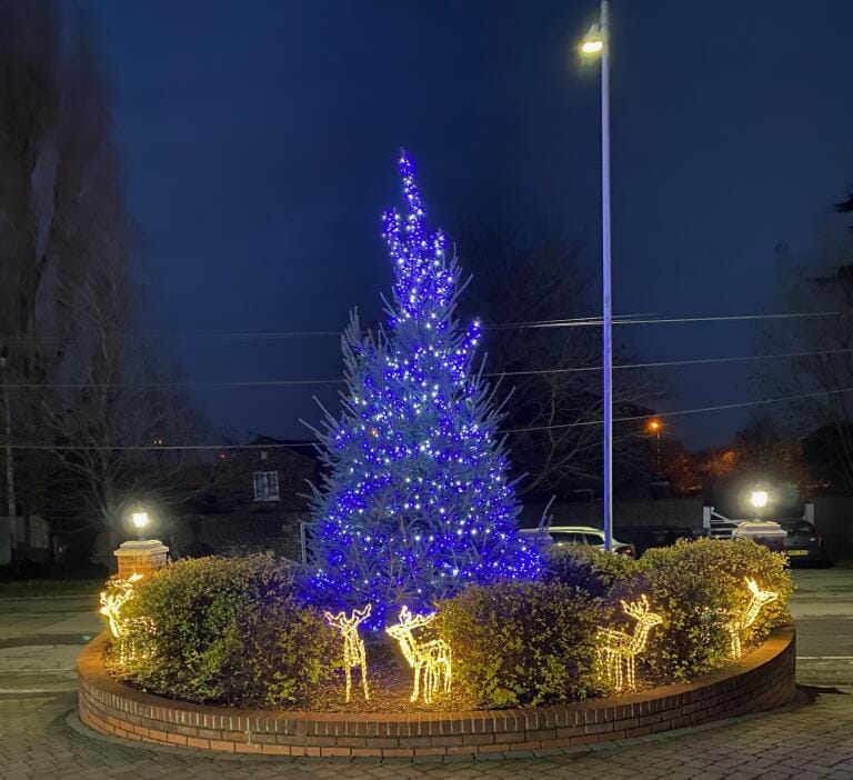 Christmas Trees Bedfordshire