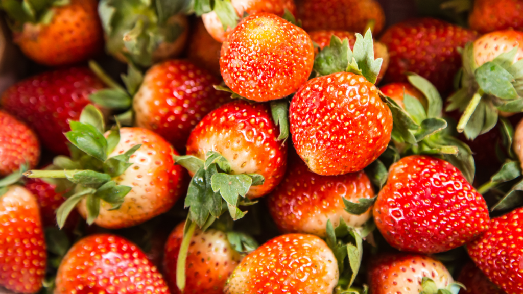 Best Strawberry Picking Essex Has To Offer 2024