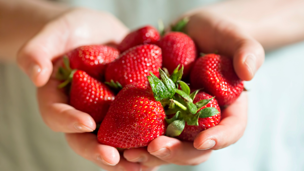 Best Strawberry Picking Yorkshire Has To Offer 2024