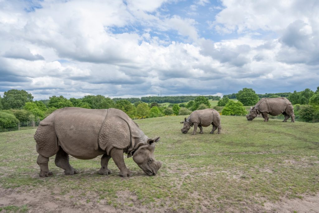 famous safari park uk