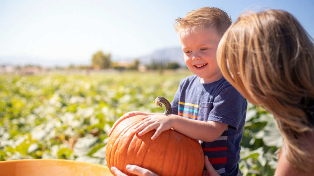 Best Pumpkin Patches Kansas Has To Offer 2024