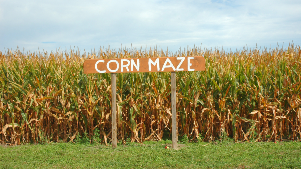 Best Corn mazes Indiana Has To Offer 2024