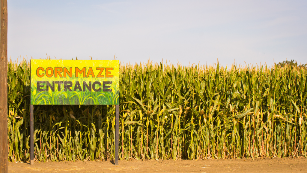 Best Corn Mazes Michigan Has To offer 2024