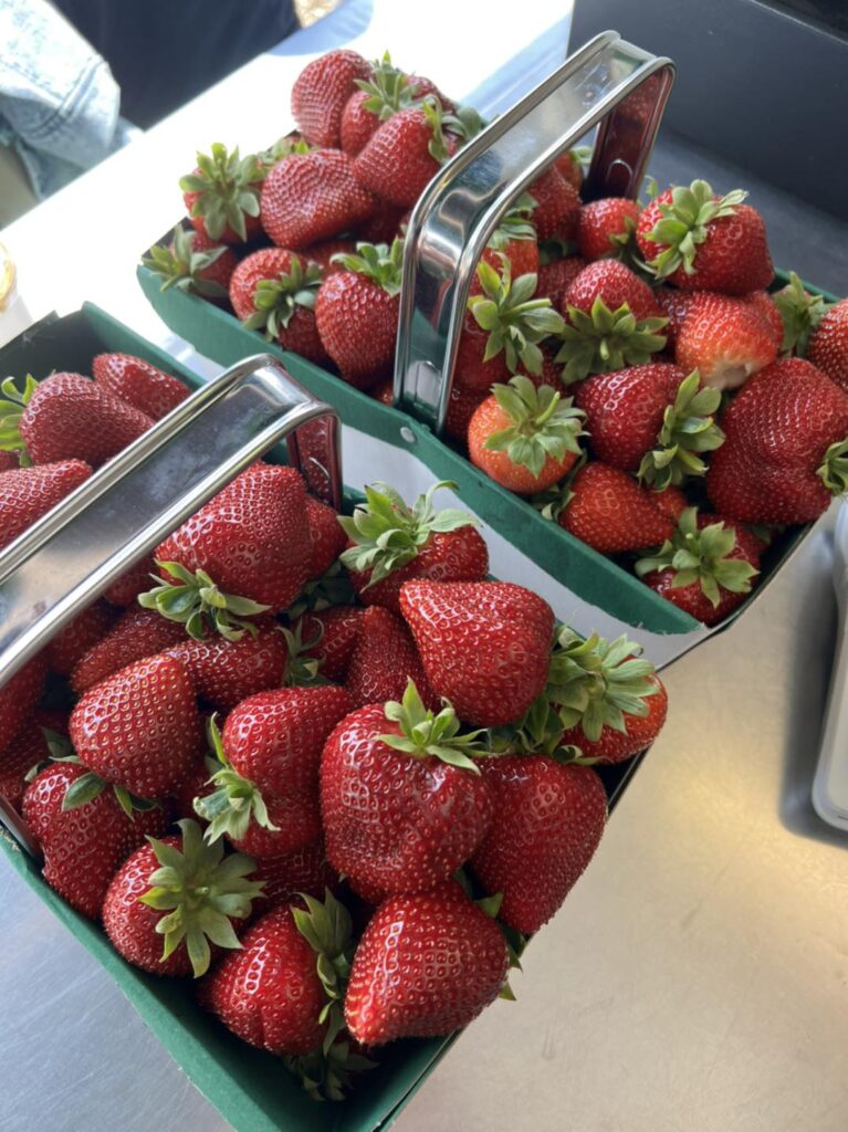 strawberry picking Rutland