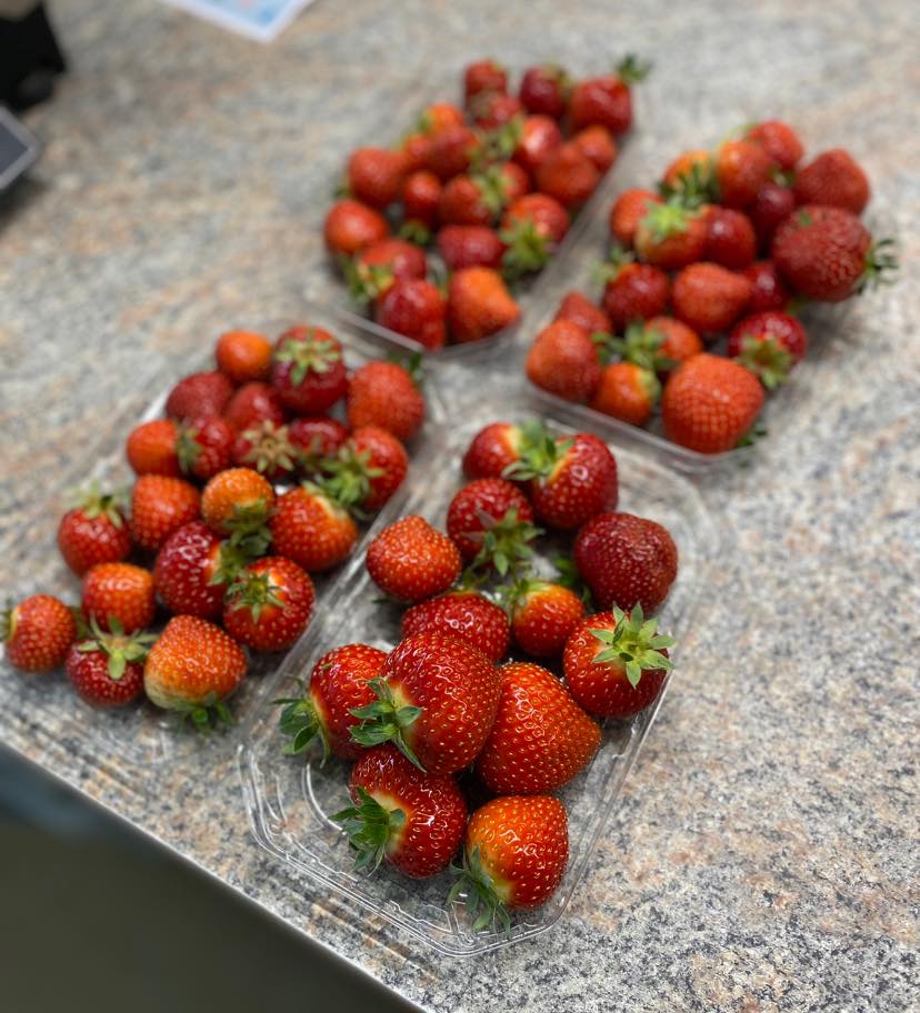 strawberry picking Wiltshire