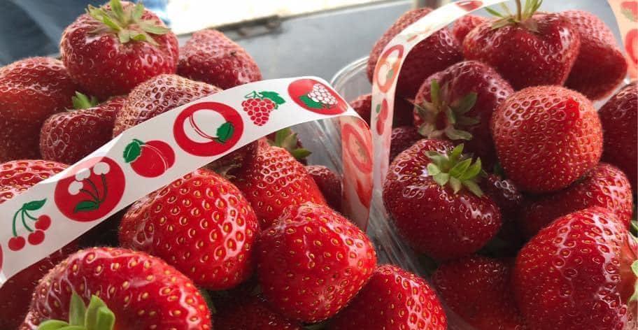 strawberry picking Oxfordshire