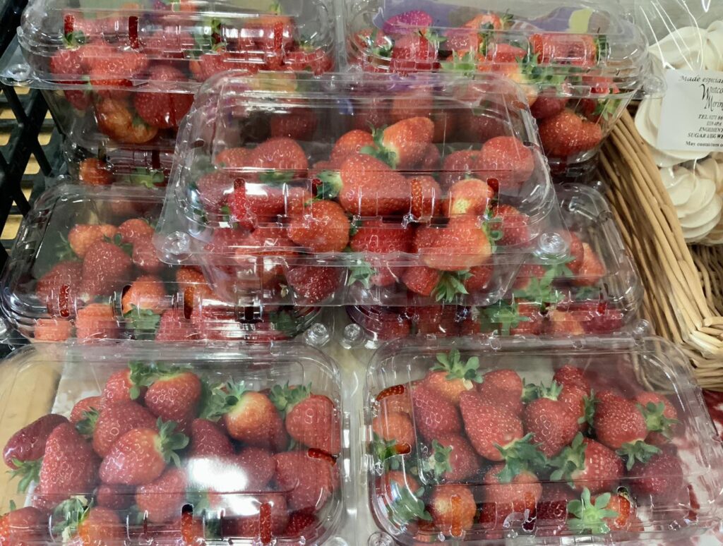 strawberry picking Birmingham