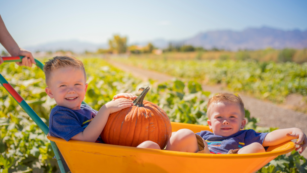 Best Pumpkin Patch Columbus Ohio Choices For You To Explore 2024