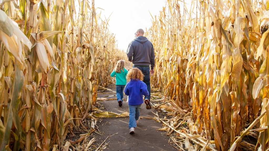 Best Corn Mazes Iowa Has To Offer 2024