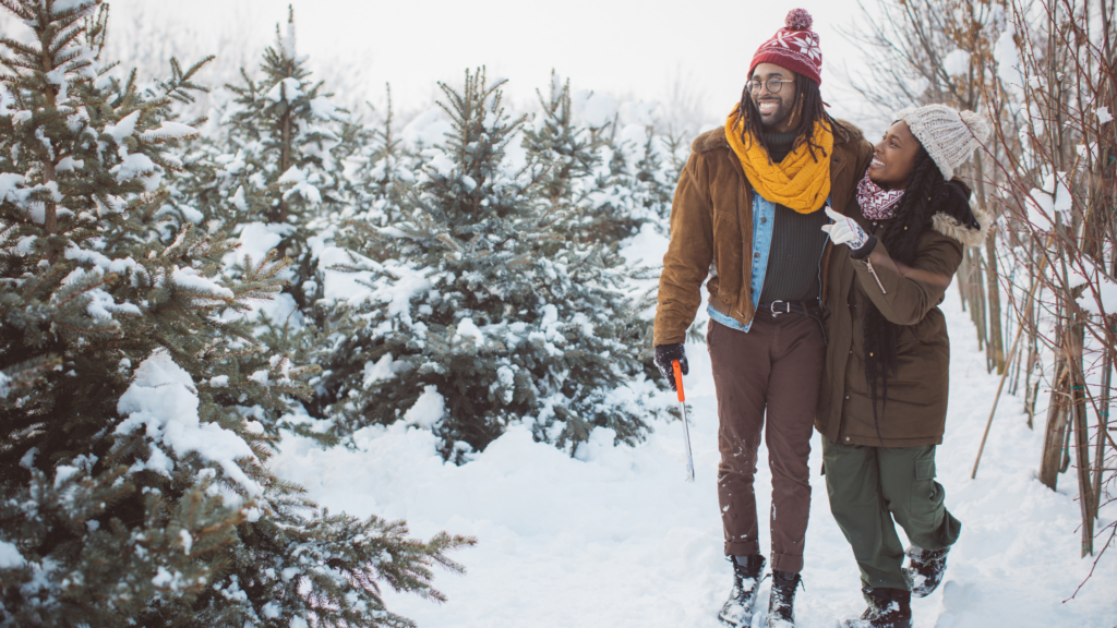 Best Christmas Tree Farms Mississippi Has To Offer 2024
