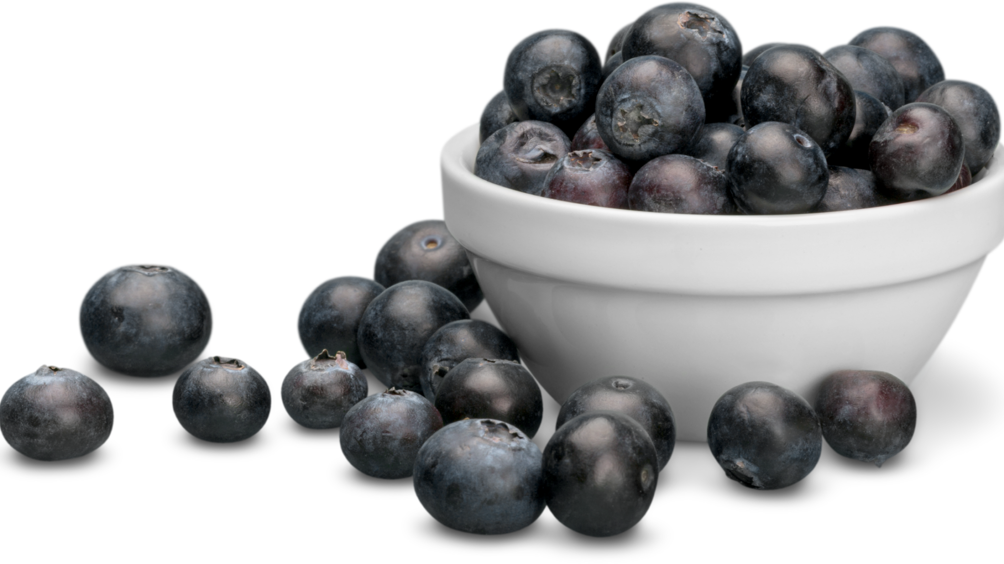 Best Alpaca Walking London Has To Offer 2025 best-alpaca-walking-london-has-to-offer-2025