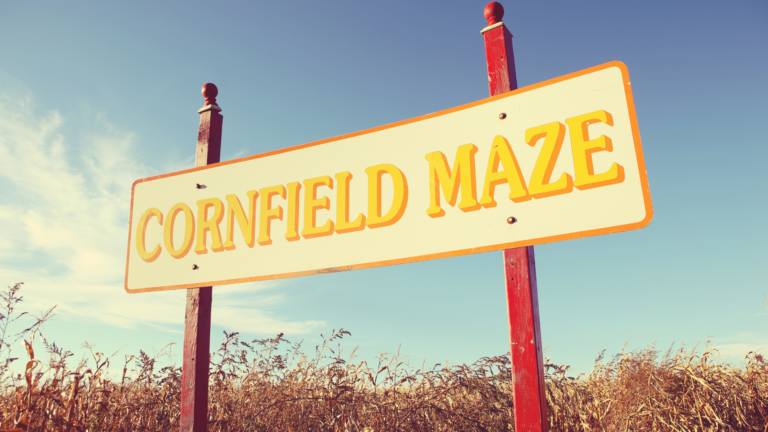 Best Corn mazes Wyoming Has To Offer 2024