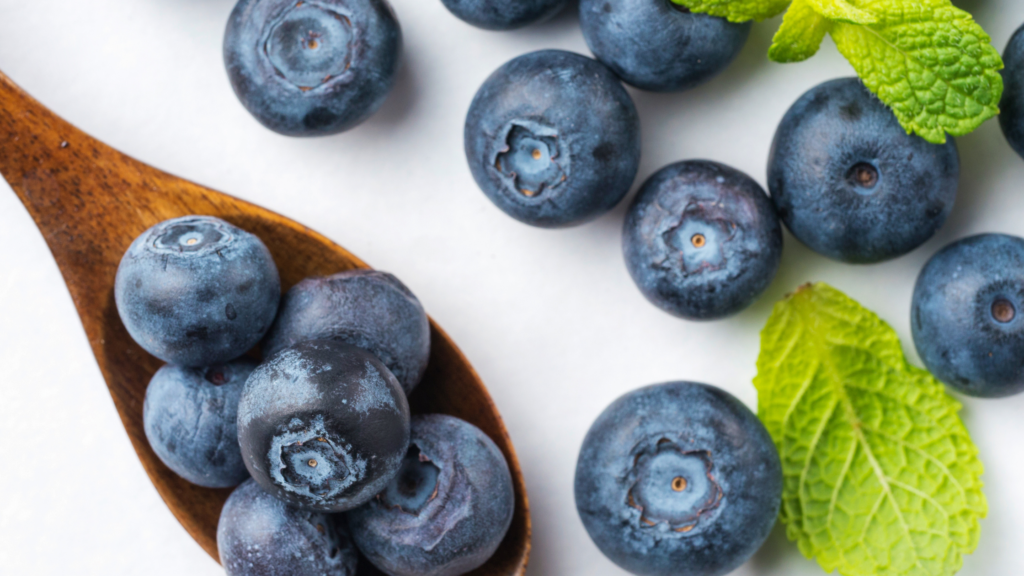 Best Blueberry Picking Chicago Has To Offer 2024